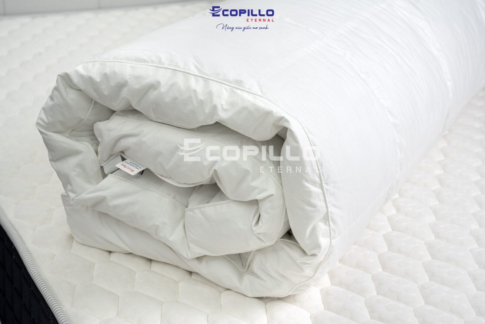 Tấm topper Micro Fiber cao cấp Ecopillo