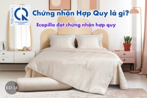 Chứng nhận Hợp Quy là gì. Ecopillo đạt chứng nhận hợp quy