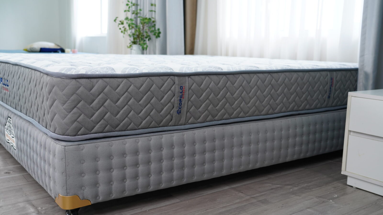 Đệm lò xo túi độc lập Ecopillo