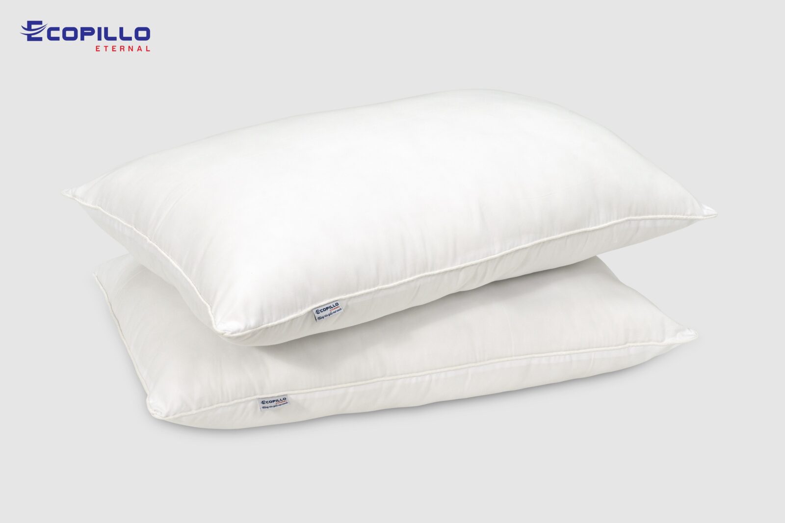 Ruột gối đầu Ecopillo
