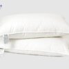 Ruột gối lông vũ tự nhiên Ecopillo