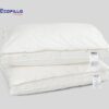 Ruột gối tơ tằm Ecopillo