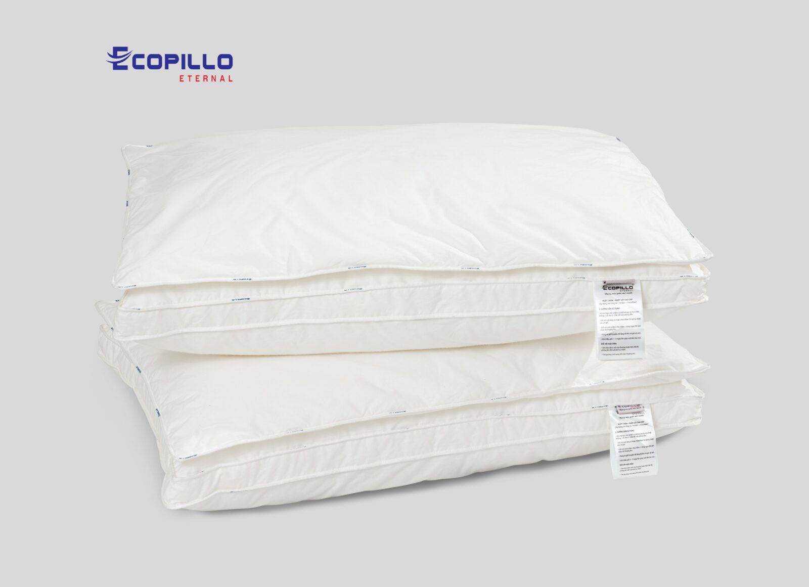 Ruột gối tơ tằm Ecopillo