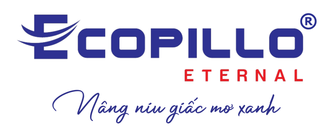 ECOPILLO – NÂNG NIU GIẤC MƠ XANH