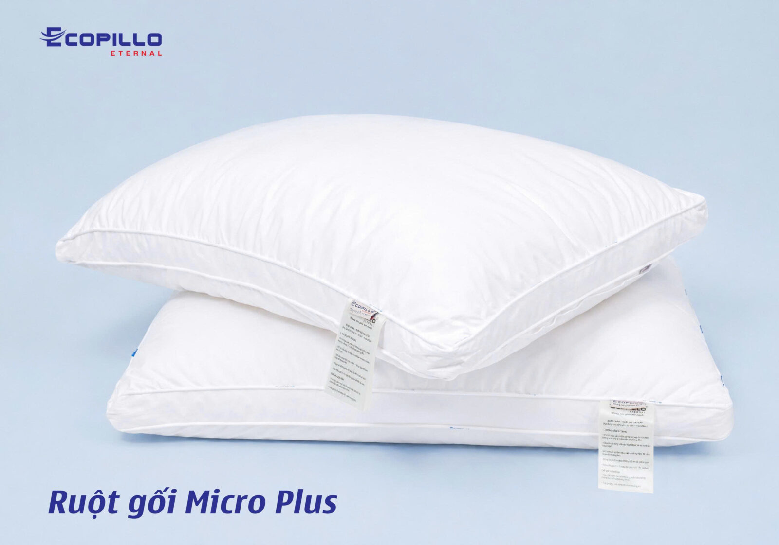 Ruột gối Micro Plus Ecopillo